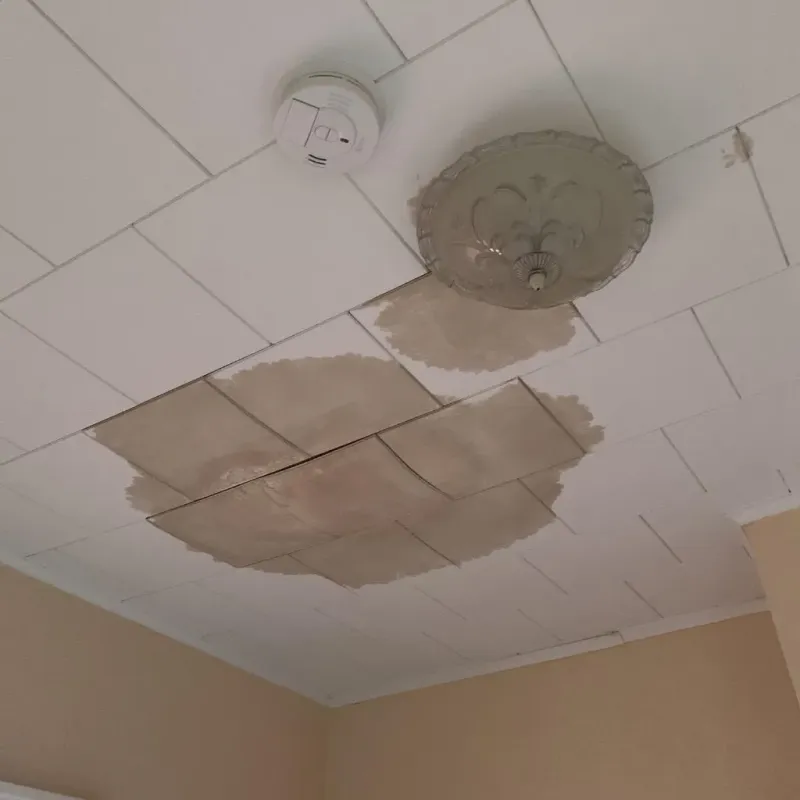 Ceiling Water Damage Repair in Halfway House, PA