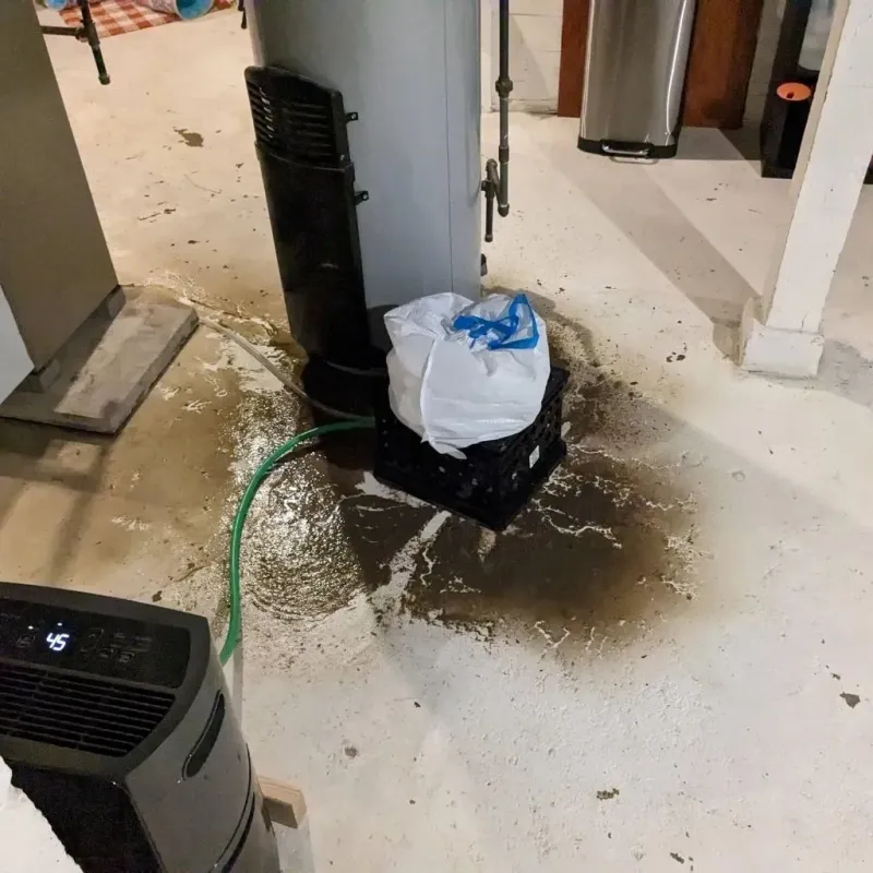 Sewage Backup Cleanup Service in Halfway House, PA